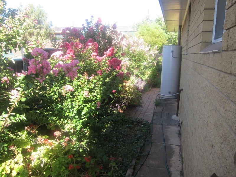 2/18 Graham Street, Tamworth NSW 2340