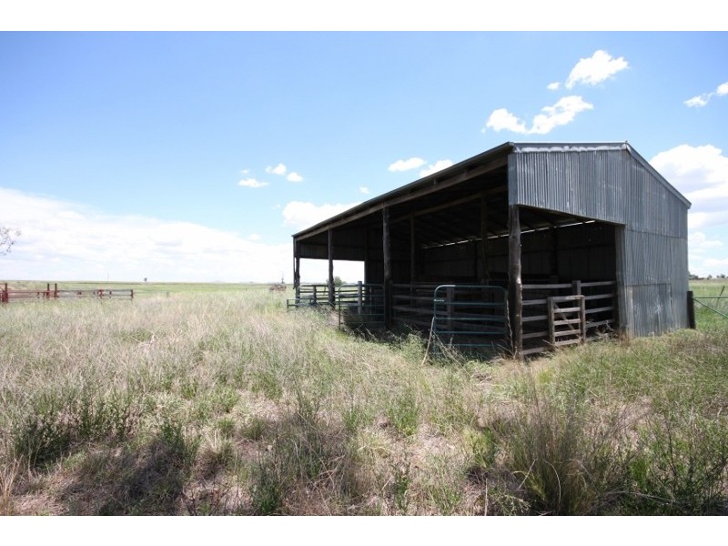 377 Burgmanns Lane, Tamworth NSW 2340