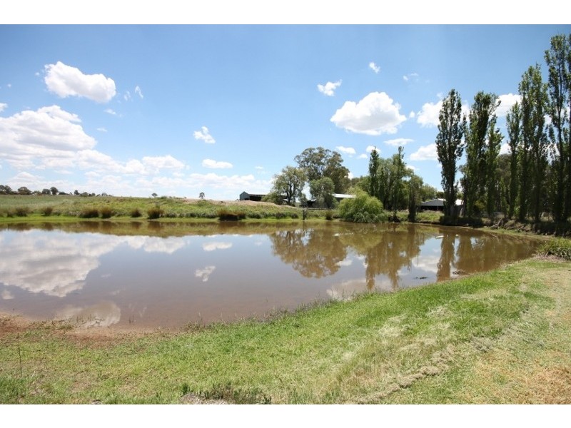 377 Burgmanns Lane, Tamworth NSW 2340