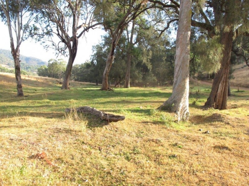 1592 Ogunbil Road, Ogunbil NSW 2340