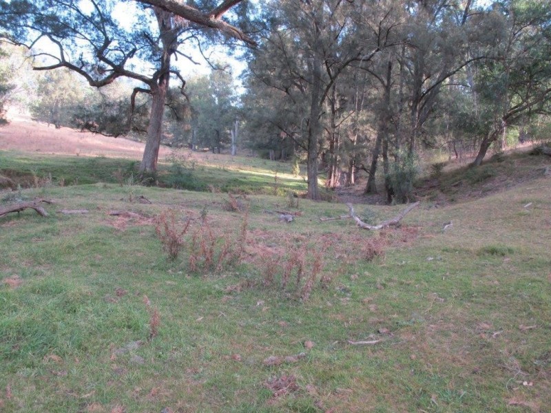 1592 Ogunbil Road, Ogunbil NSW 2340