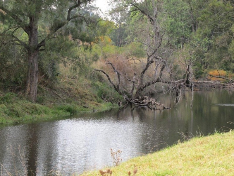 1592 Ogunbil Road, Ogunbil NSW 2340
