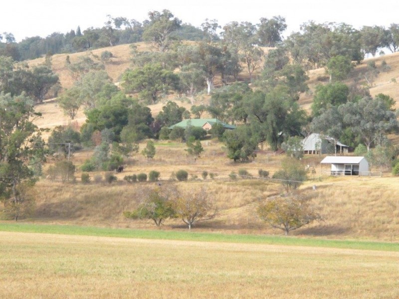 1592 Ogunbil Road, Ogunbil NSW 2340