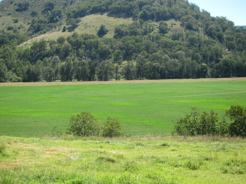 1592 Ogunbil Road, Ogunbil NSW 2340