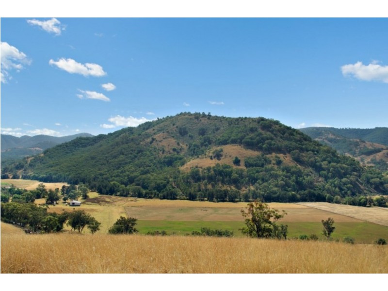 1592 Ogunbil Road, Ogunbil NSW 2340