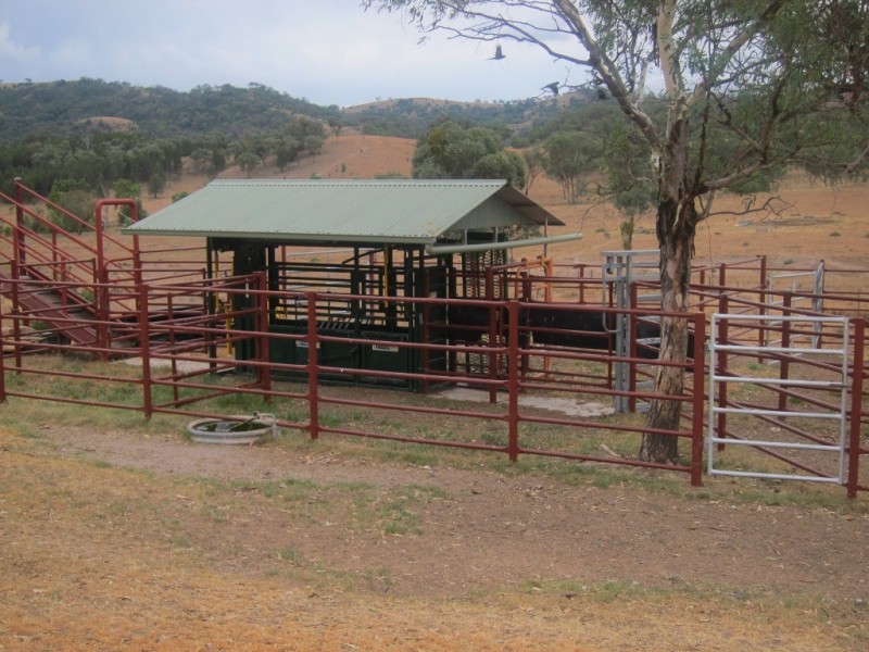 352 Wisemans Arm Road, Garthowen NSW 2345