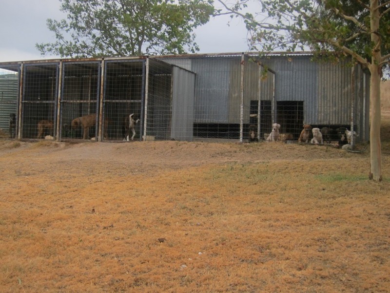 352 Wisemans Arm Road, Garthowen NSW 2345