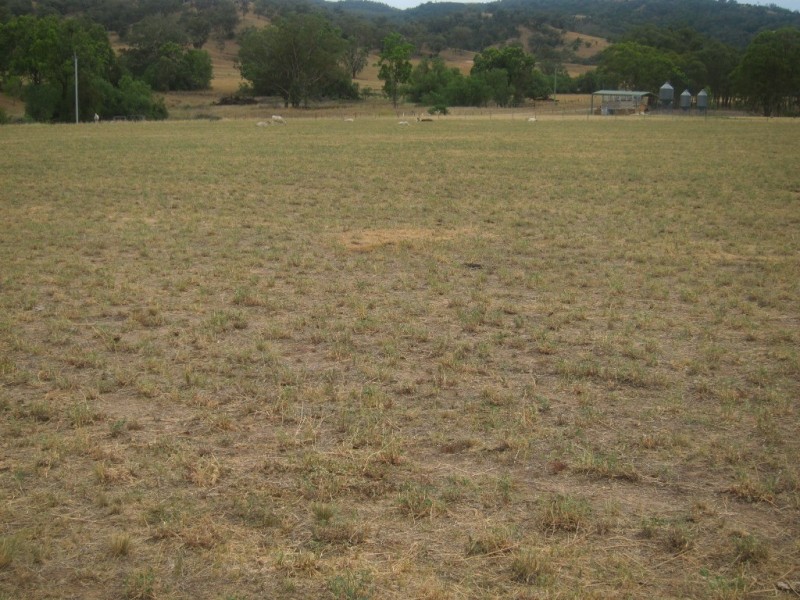 352 Wisemans Arm Road, Garthowen NSW 2345