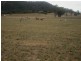 352 Wisemans Arm Road, Garthowen NSW 2345