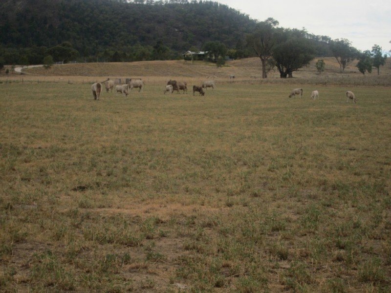 352 Wisemans Arm Road, Garthowen NSW 2345