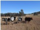 Lot 1 633 Moore Creek Road, Tamworth NSW 2340
