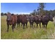 Lot 2 633 Moore Creek Road, Tamworth NSW 2340