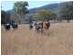 Lot 2 633 Moore Creek Road, Tamworth NSW 2340