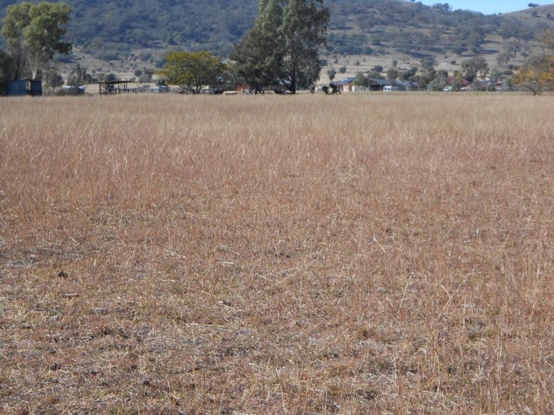 Lot 2 633 Moore Creek Road, Tamworth NSW 2340
