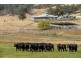 “Hillview” 620 Woolomin Road, Tamworth NSW 2340