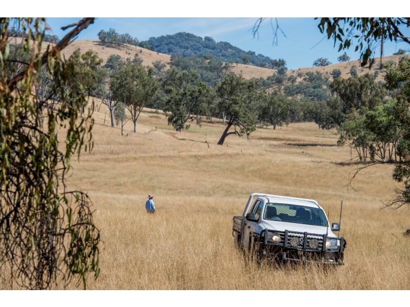 “Hillview” 620 Woolomin Road, Tamworth NSW 2340