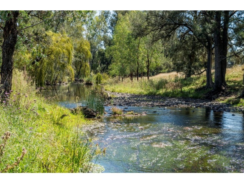 “Hillview” 620 Woolomin Road, Tamworth NSW 2340