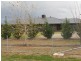 9 Conjola Drive, Tamworth NSW 2340