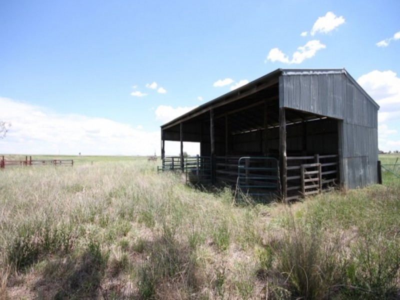 377 Burgmanns Lane, Tamworth NSW 2340