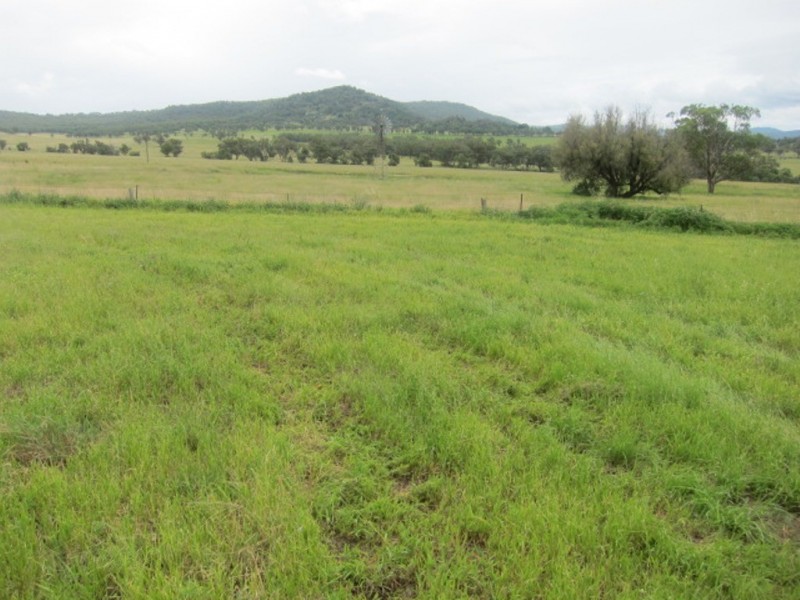 107 Roses Lane, Kootingal NSW 2352