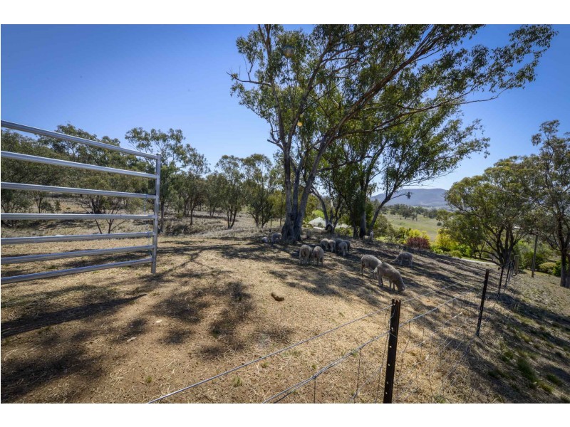 23 Norman Close, Loomberah NSW 2340