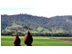 “Hillview” 620 Back Woolomin Road, Tamworth NSW 2340