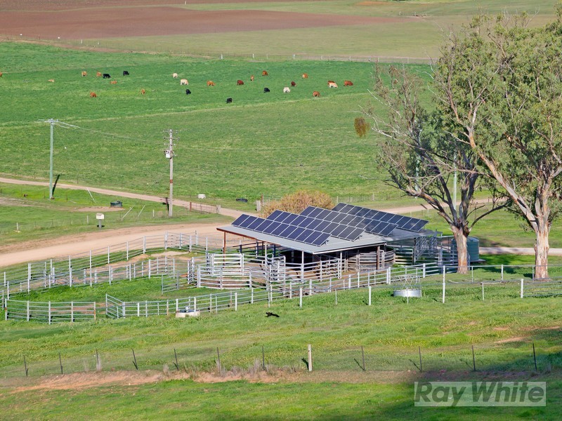 “Hillview” 620 Back Woolomin Road, Tamworth NSW 2340