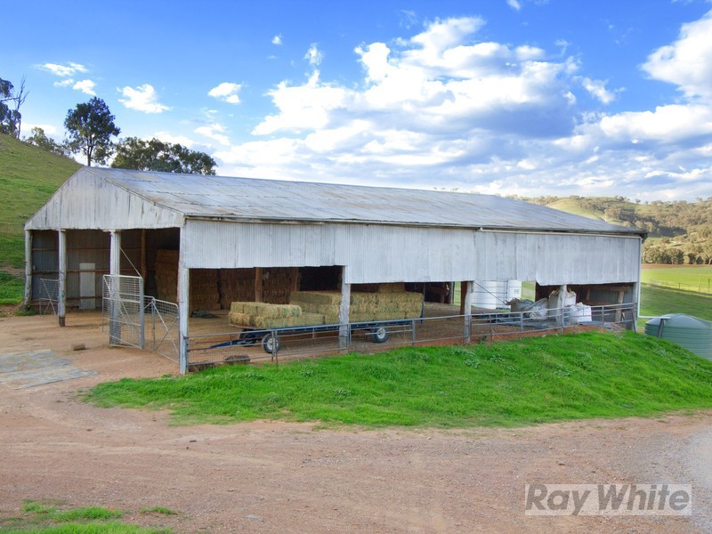 “Hillview” 620 Back Woolomin Road, Tamworth NSW 2340