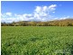 “Hillview” 620 Back Woolomin Road, Tamworth NSW 2340