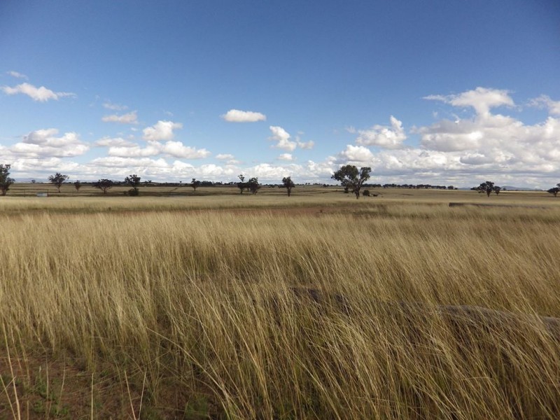 Lot 122 New Winton Road, Tamworth NSW 2340