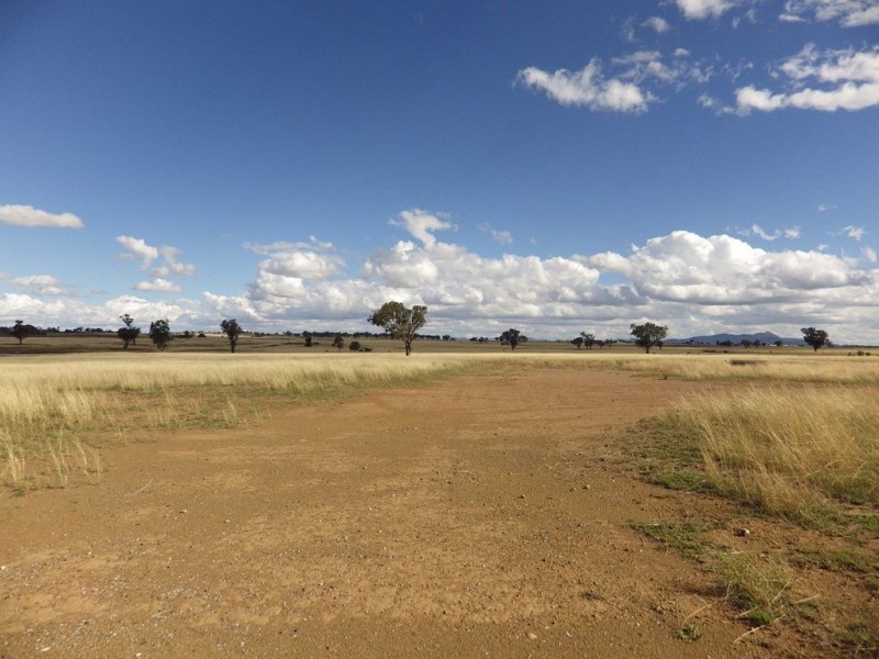 Lot 122 New Winton Road, Tamworth NSW 2340