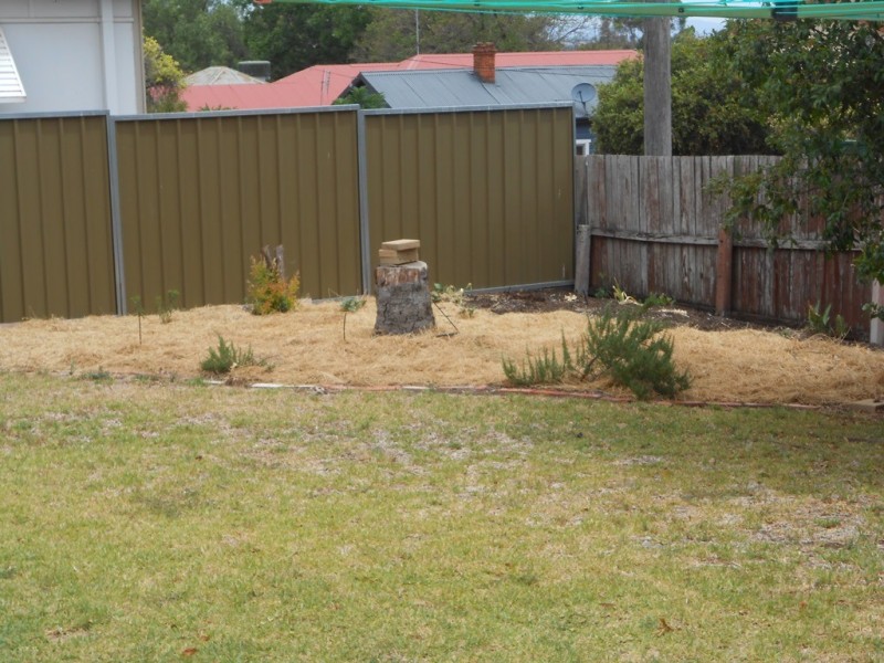 53 Macquarie Street, Tamworth NSW 2340