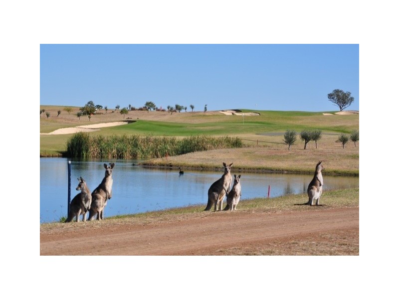 Lot 10 The Pinnacle Estate, Tamworth NSW 2340