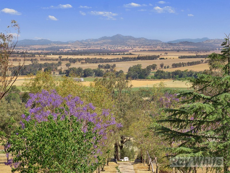 20 Gallagher Road, Tamworth NSW 2340