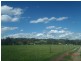 536 Tintinhull Road, Daruka NSW 2340