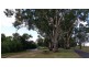 113 Strafford Street, Manilla NSW 2346