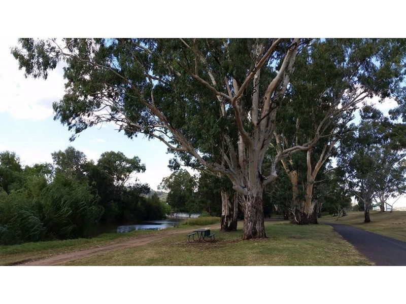 113 Strafford Street, Manilla NSW 2346