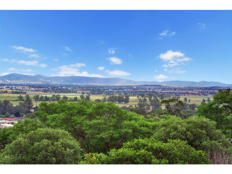 14 Jacaranda Place, Tamworth NSW 2340
