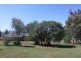 109 Browns Lane, Tamworth NSW 2340