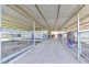 2 Flinders Street, Westdale NSW 2340