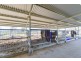 2 Flinders Street, Westdale NSW 2340