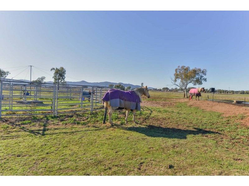 2 Flinders Street, Westdale NSW 2340