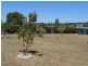 45 Browns Lane, Tamworth NSW 2340