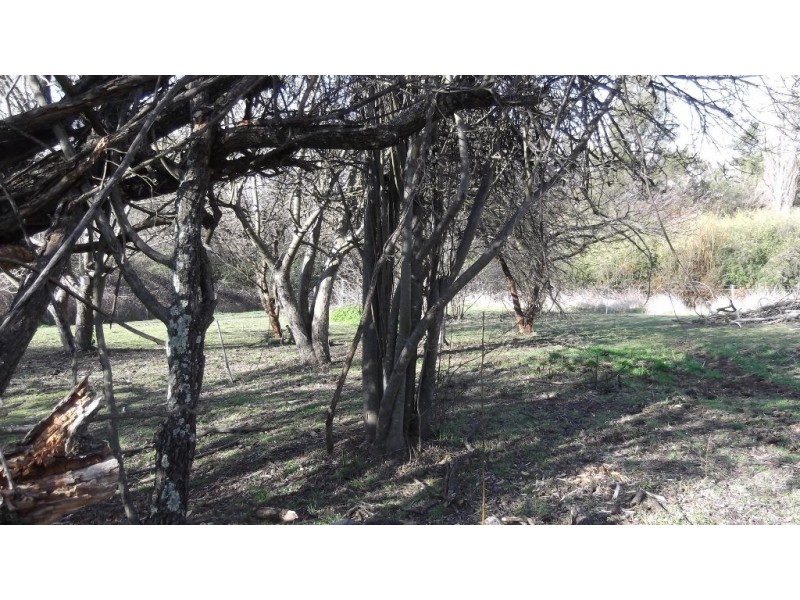 70 Caroline Street, Bendemeer NSW 2355