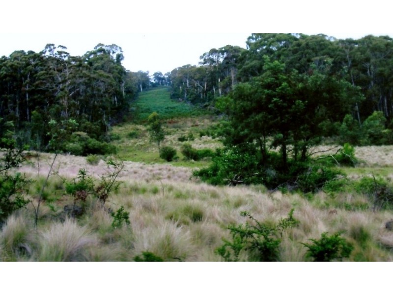 1020 Barry Road, Hanging Rock NSW 2340