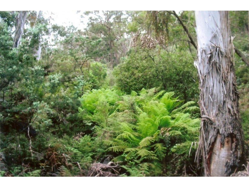 1020 Barry Road, Hanging Rock NSW 2340