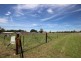 Lot 5 Mayne Drive, Westdale NSW 2340