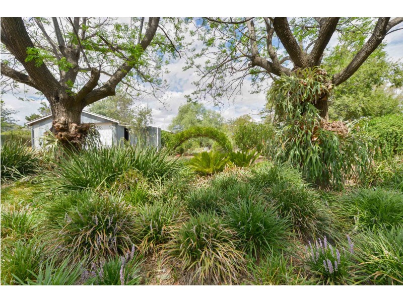 8 Panorama Road, Calala NSW 2340