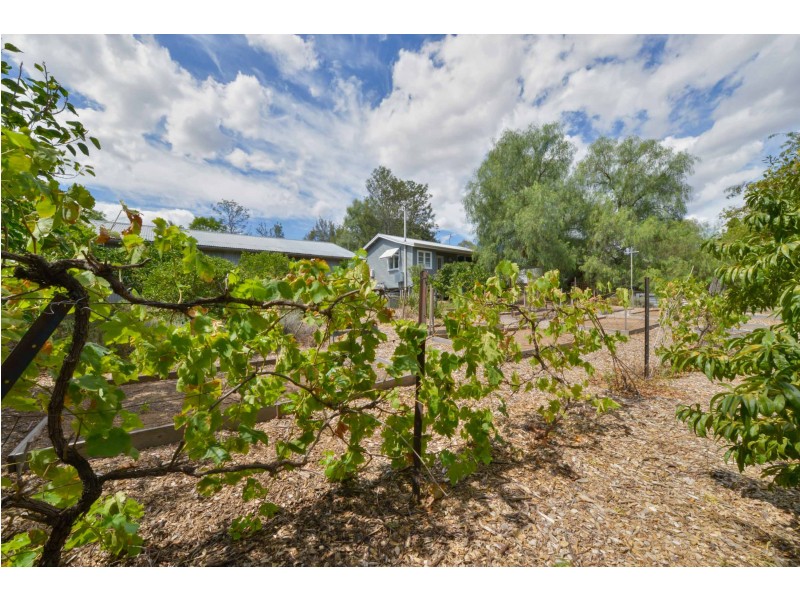 8 Panorama Road, Calala NSW 2340