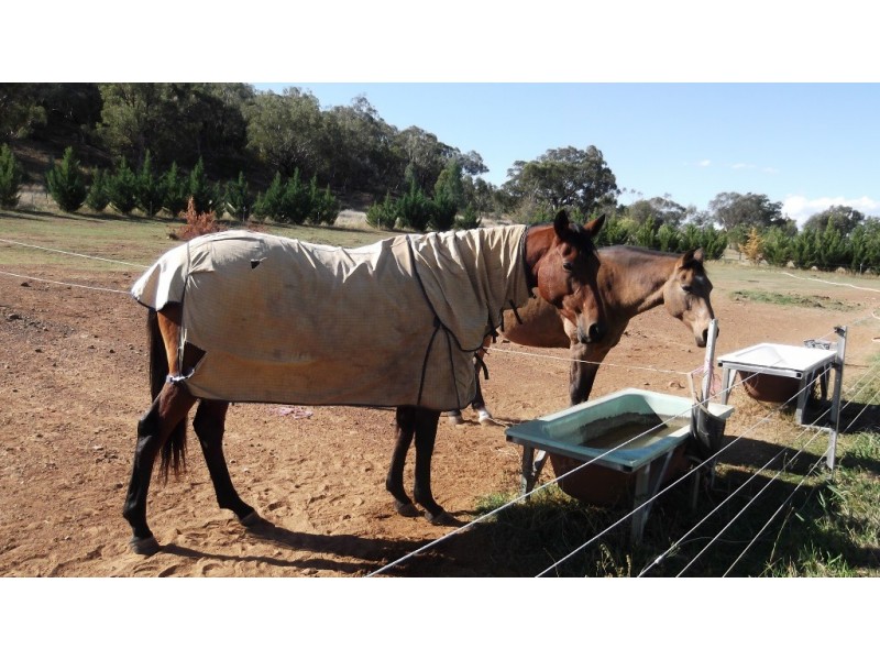 147 Arthur Street, Manilla NSW 2346